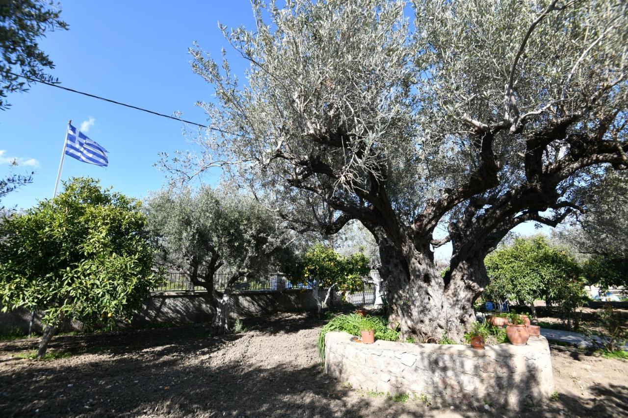 קולימביה Villa Kavalino מראה חיצוני תמונה