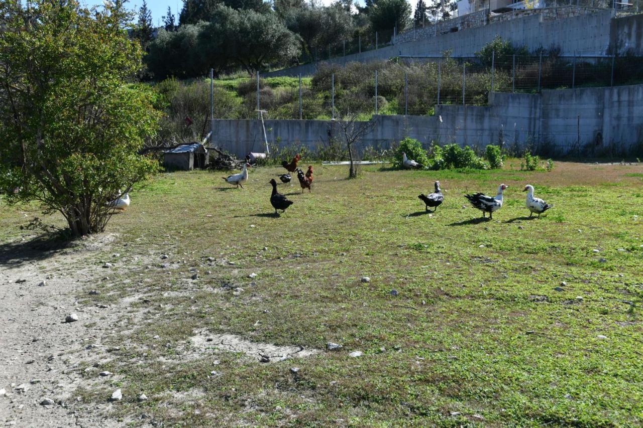קולימביה Villa Kavalino מראה חיצוני תמונה