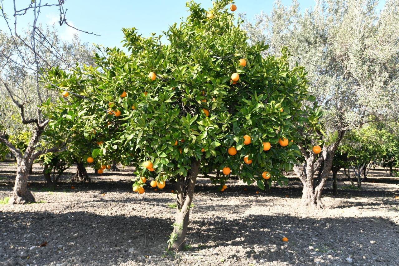 קולימביה Villa Kavalino מראה חיצוני תמונה